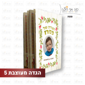 הגדה לפסח לגני ילדים
