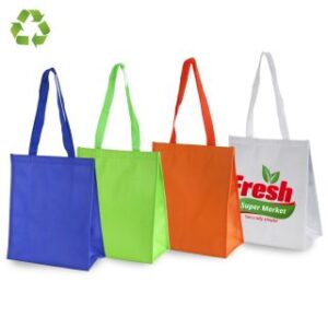 תיק צידנית – קליאו